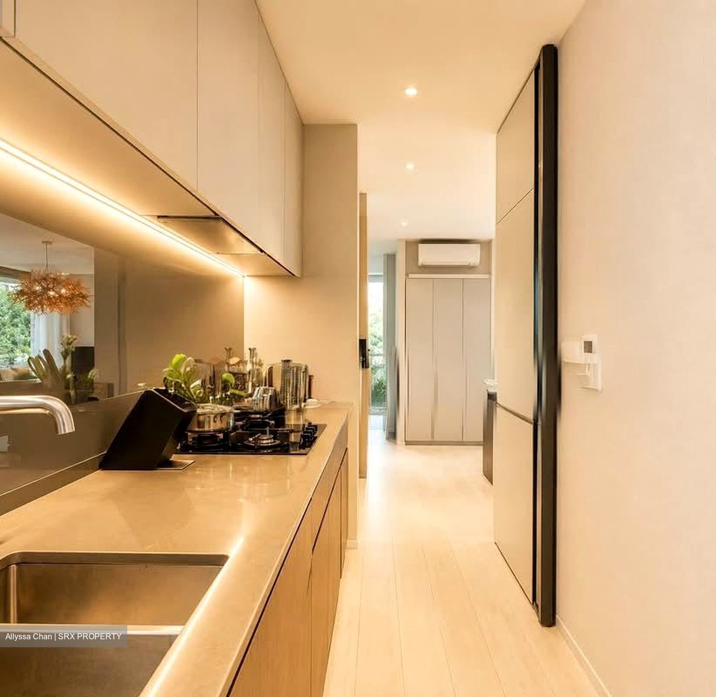 Amber Park (D15), Condominium #564615891